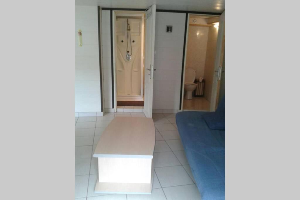 Cure Thermale Ou Vacances D'Ete Au Mont Dore Exterior photo